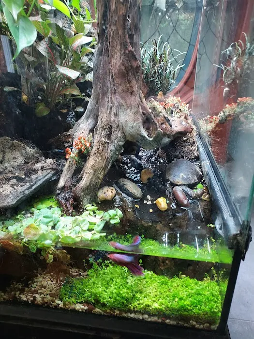 AGA Aquarium Service Picture 3