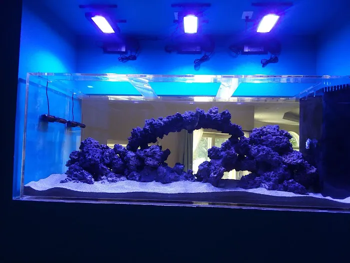 AGA Aquarium Service Picture 8
