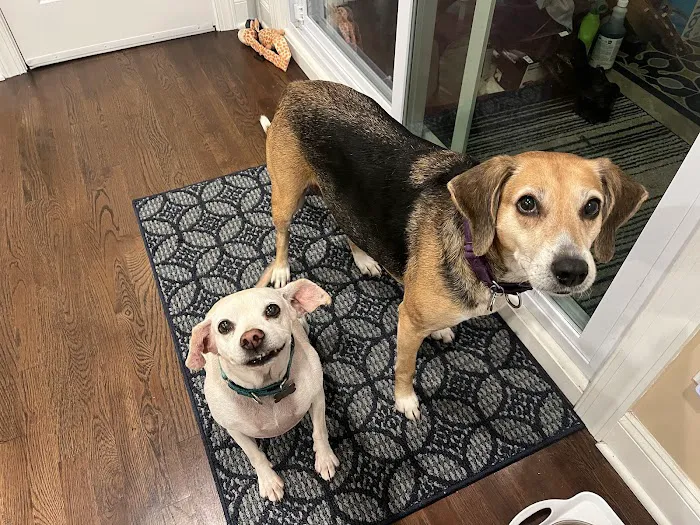 Sea Girt Animal Hospital Picture 1