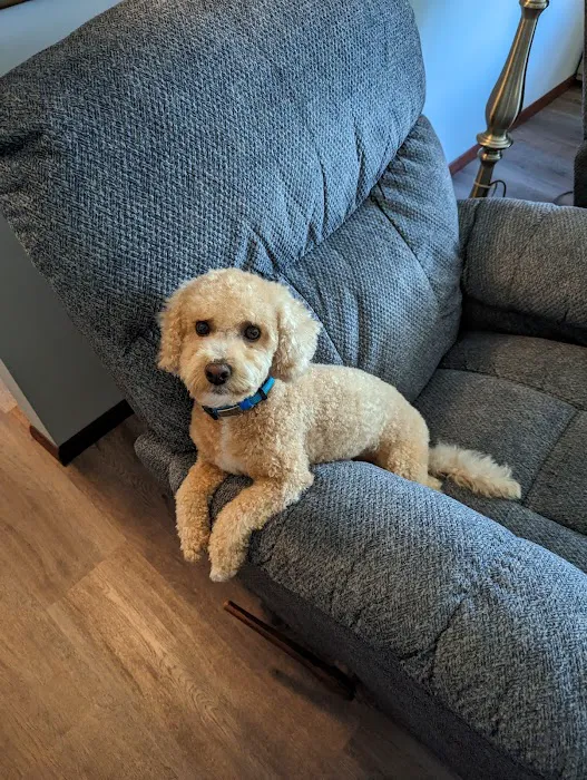 Sea Girt Animal Hospital Picture 5