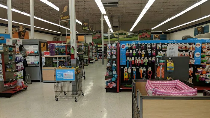Petco Picture 1