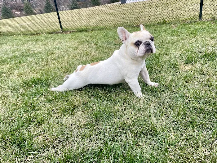 Brielle Animal Clinic Picture 1