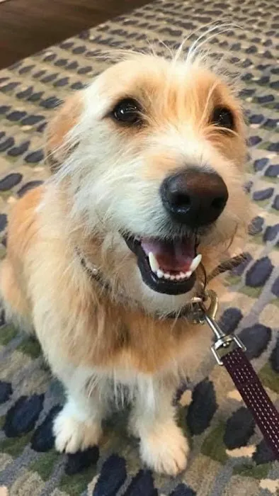 Brielle Animal Clinic Picture 2