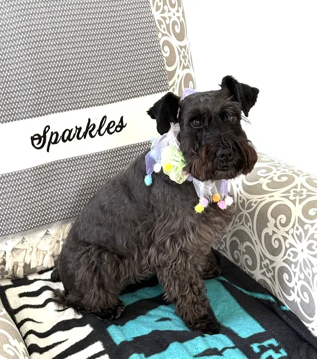 Brielle Animal Clinic Picture 6