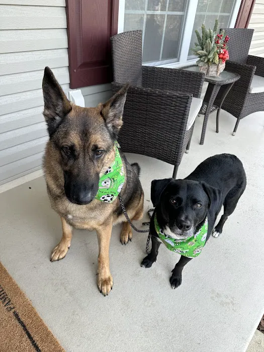 Brielle Animal Clinic Picture 4