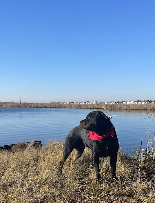 Brielle Animal Clinic Picture 9