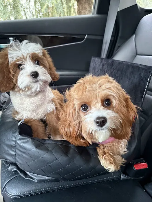 Brielle Animal Clinic Picture 7