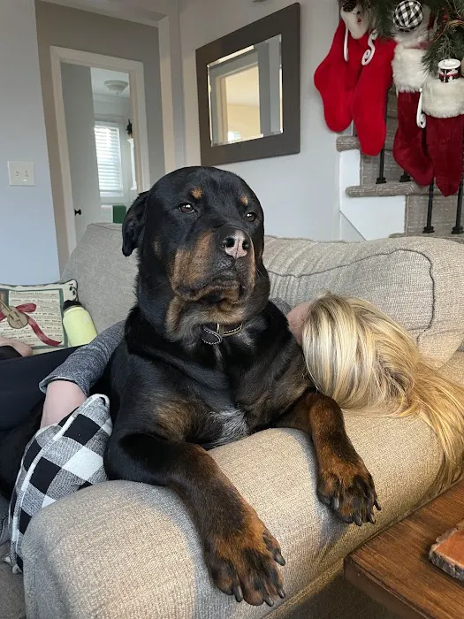 Brielle Animal Clinic Picture 8