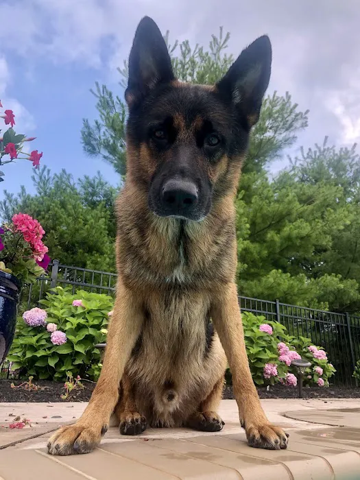 Brielle Animal Clinic Picture 10