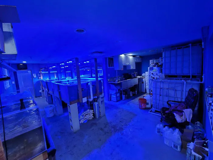 Life Oceanic Picture 7