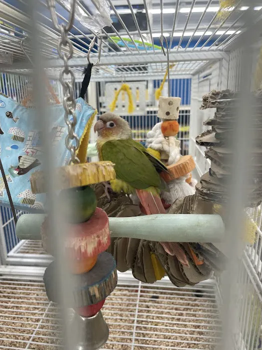 Pet Supermarket Picture 3