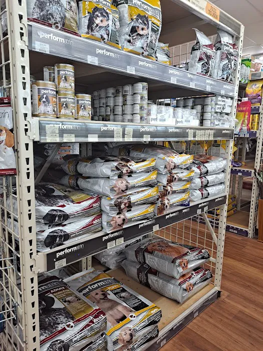 Pet Supermarket Picture 5