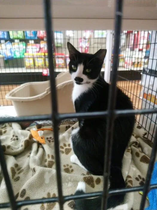 Pet Supermarket Picture 2