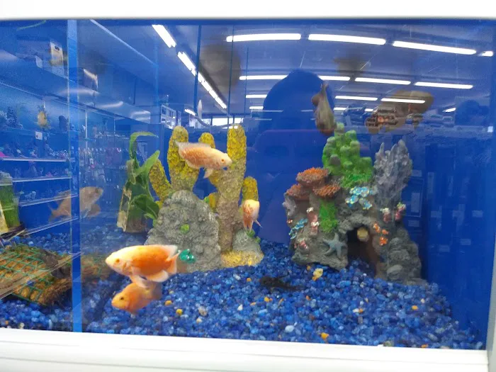 Pet Supermarket Picture 9