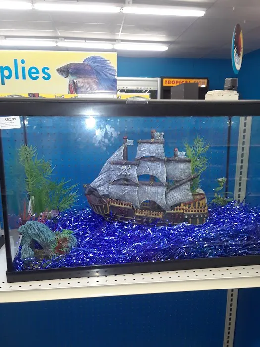 Pet Supermarket Picture 6