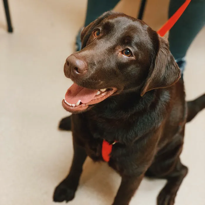 Deerwood Animal Hospital Picture 6