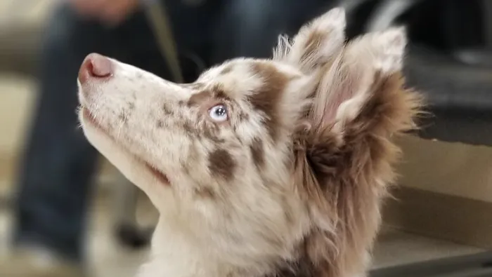 Deerwood Animal Hospital Picture 2