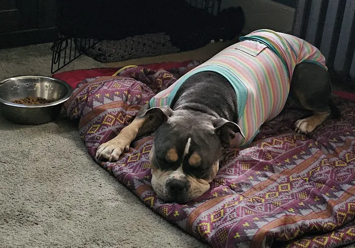 Deerwood Animal Hospital Picture 1