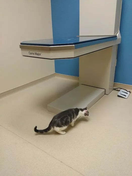 Deerwood Animal Hospital Picture 4