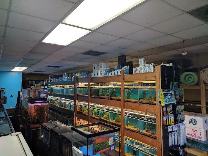 Westside Aquarium & Pets Picture 4