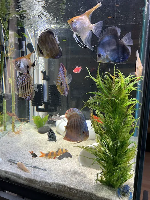Westside Aquarium & Pets Picture 2