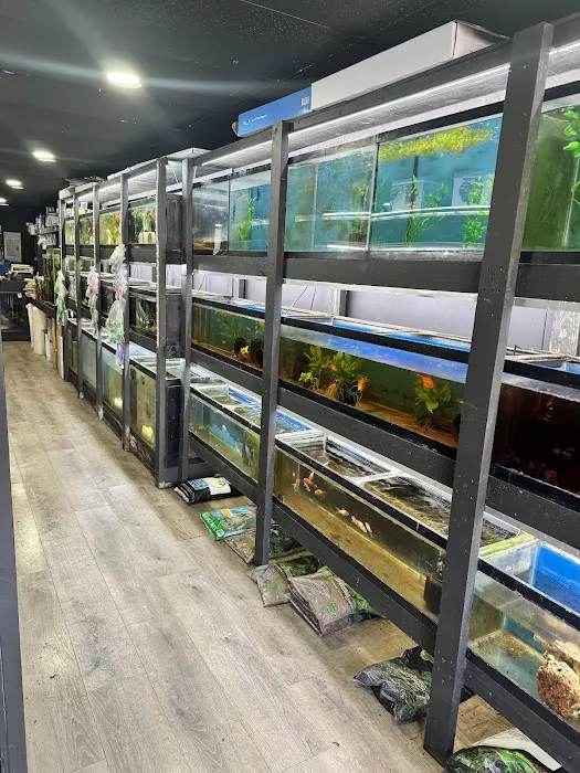 Westside Aquarium & Pets Picture 9