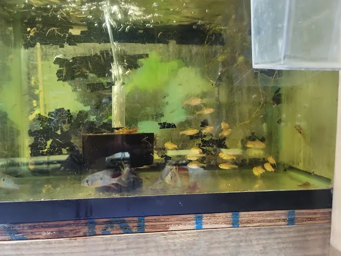 Westside Aquarium & Pets Picture 3