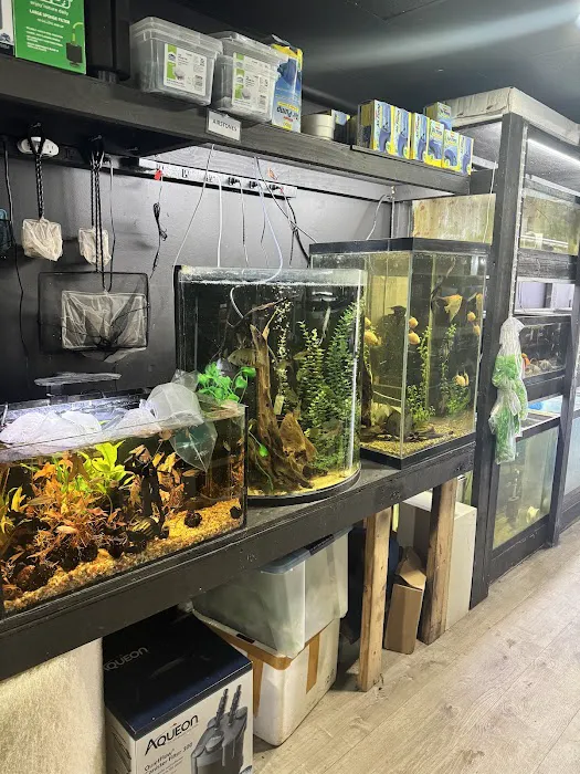 Westside Aquarium & Pets Picture 7