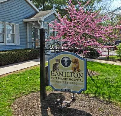 Hamilton Veterinary Hospital Picture 6