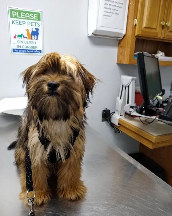 Hamilton Veterinary Hospital Picture 10