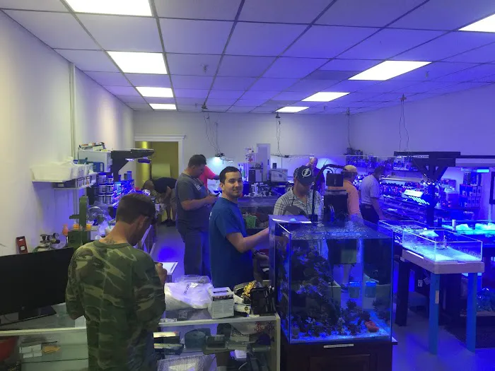 Corals and Fins Picture 9