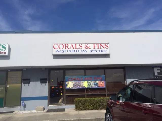 Corals and Fins Picture 6