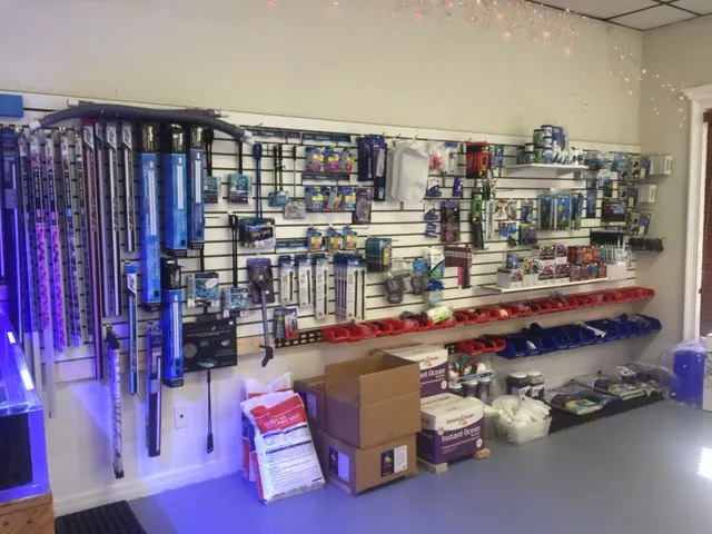 Corals and Fins Picture 4