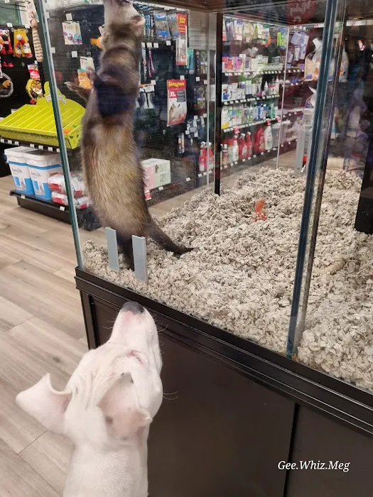 Pet Supermarket Picture 1