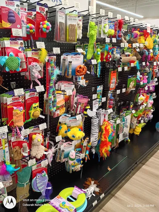 Pet Supermarket Picture 4