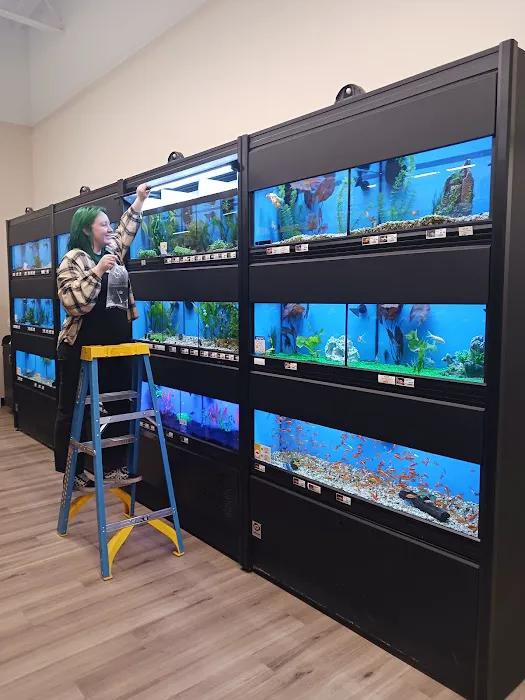 Pet Supermarket Picture 7