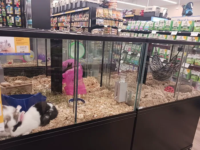 Pet Supermarket Picture 8