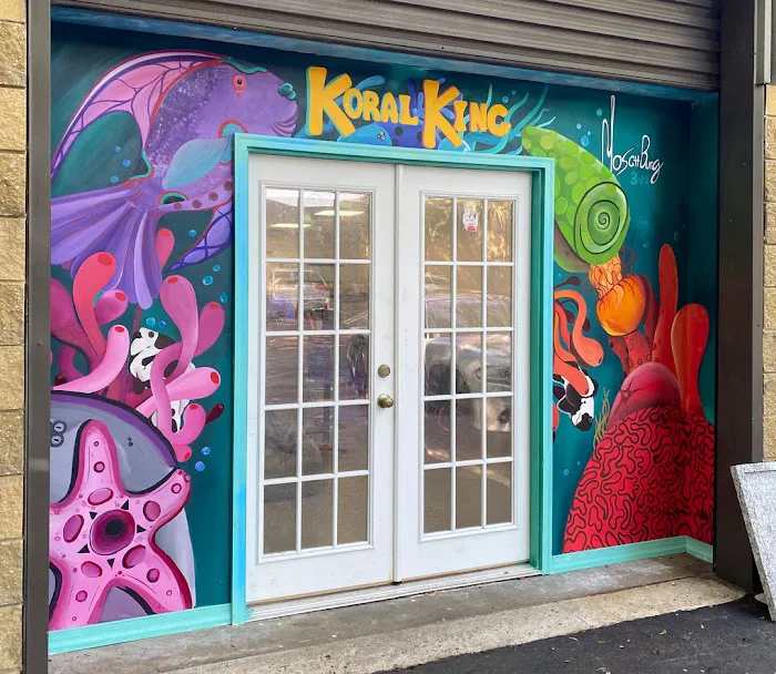 Koral King Picture 5