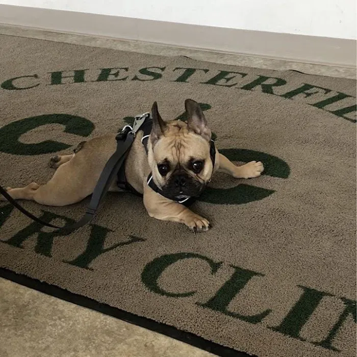 Chesterfield Veterinary Clinic Picture 10