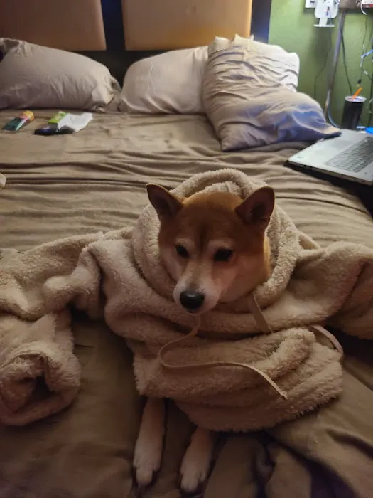 Chesterfield Veterinary Clinic Picture 2