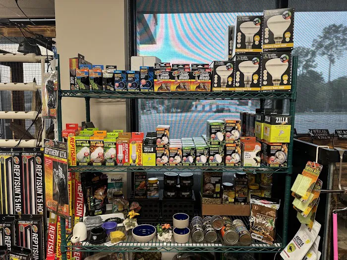 Florida Man Reptiles Picture 6