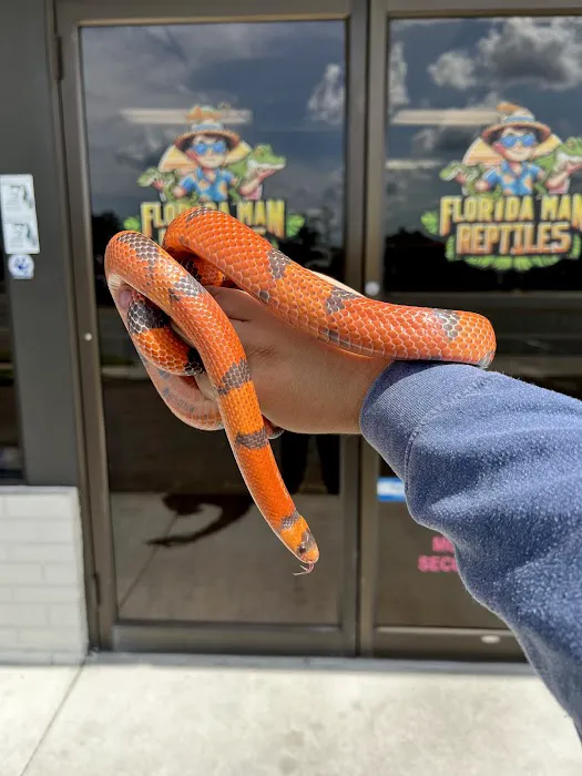 Florida Man Reptiles Picture 7