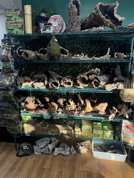 Florida Man Reptiles Picture 8