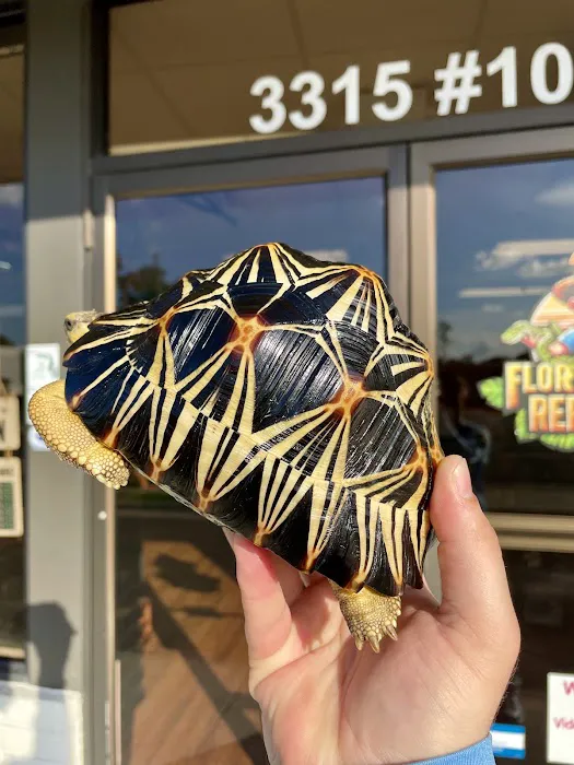 Florida Man Reptiles Picture 2