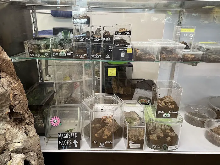 Florida Man Reptiles Picture 10