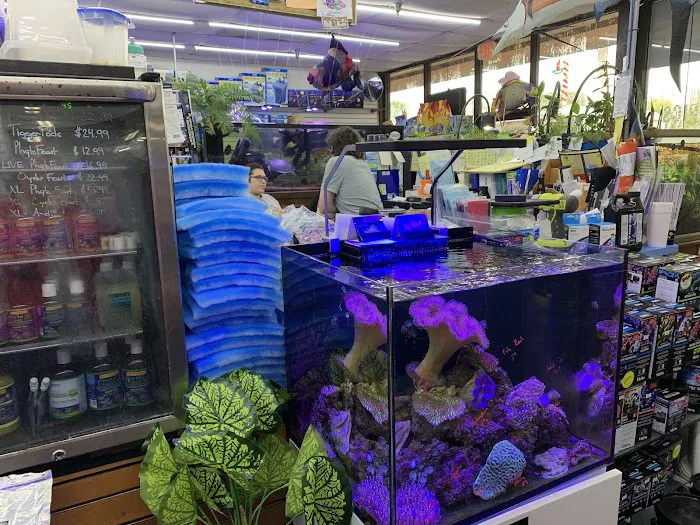 Aquatropics Picture 10