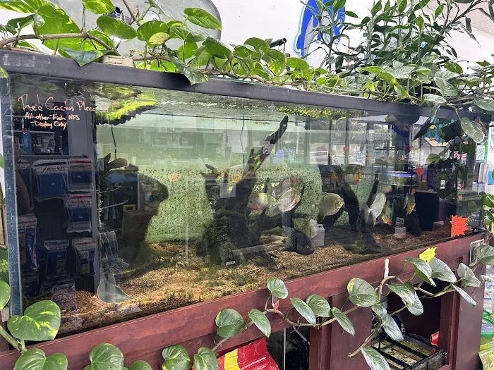 Aquatropics Picture 9