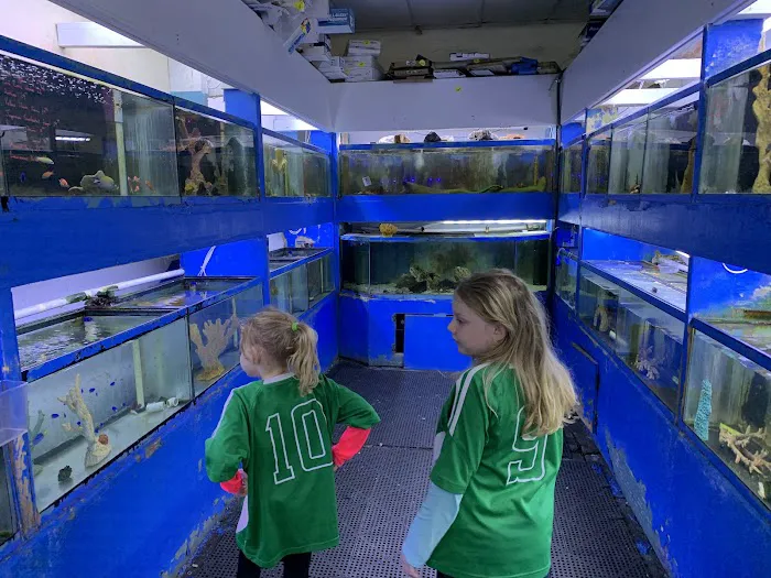 Aquatropics Picture 8