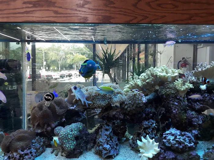 Aquatropics Picture 2