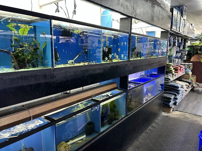 Aquatropics Picture 7